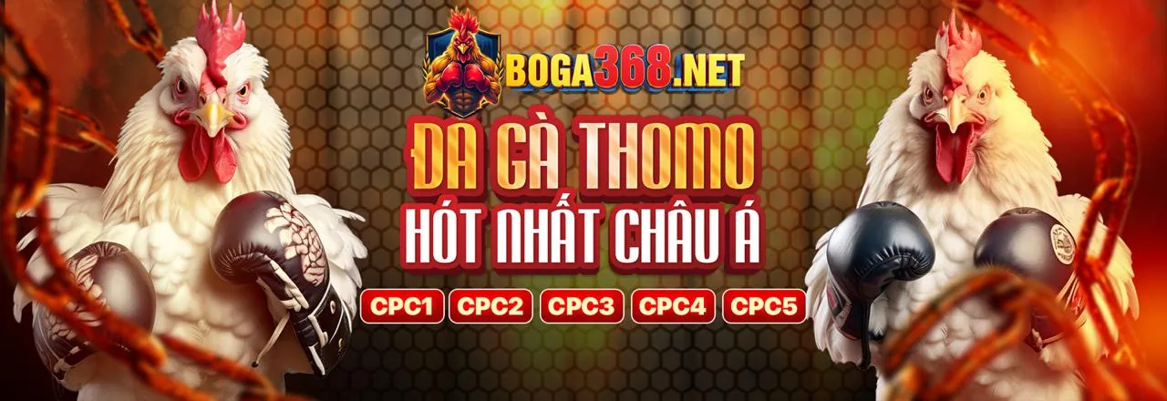 Tham gia 678win ngay